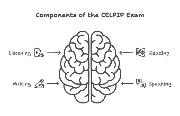 Understand the CELPIP Exam.